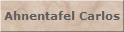 Ahnentafel Carlos