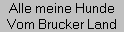 Alle meine Hunde
Vom Brucker Land