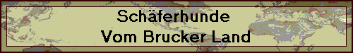 Sch�ferhunde 
Vom Brucker Land